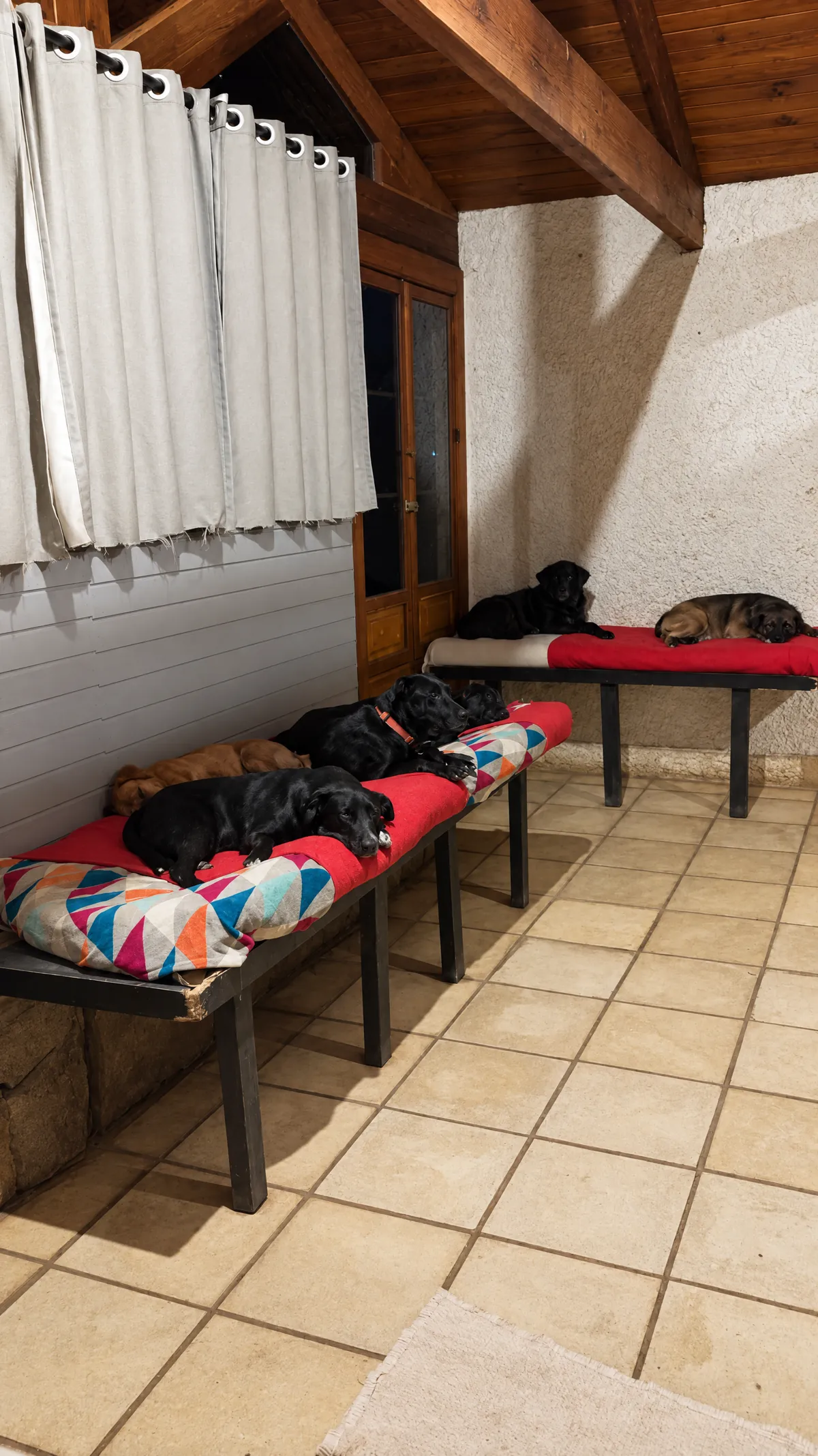 The indoor gallery with beds and blankets where the dogs spend the night