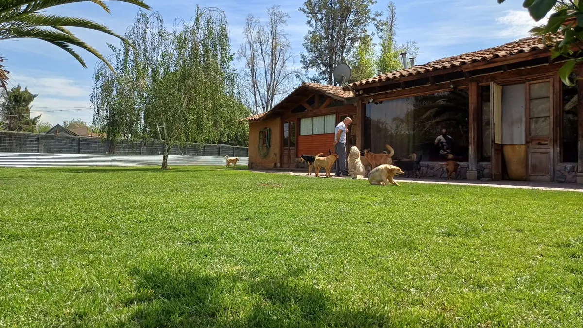 Joshua with several dogs in front of the hotel house