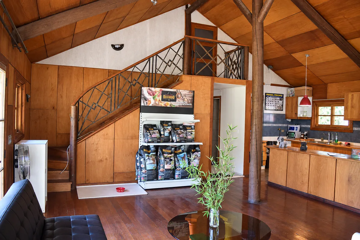 The vet clinic's reception area with shelves of pet food