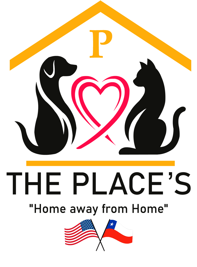 The Place's